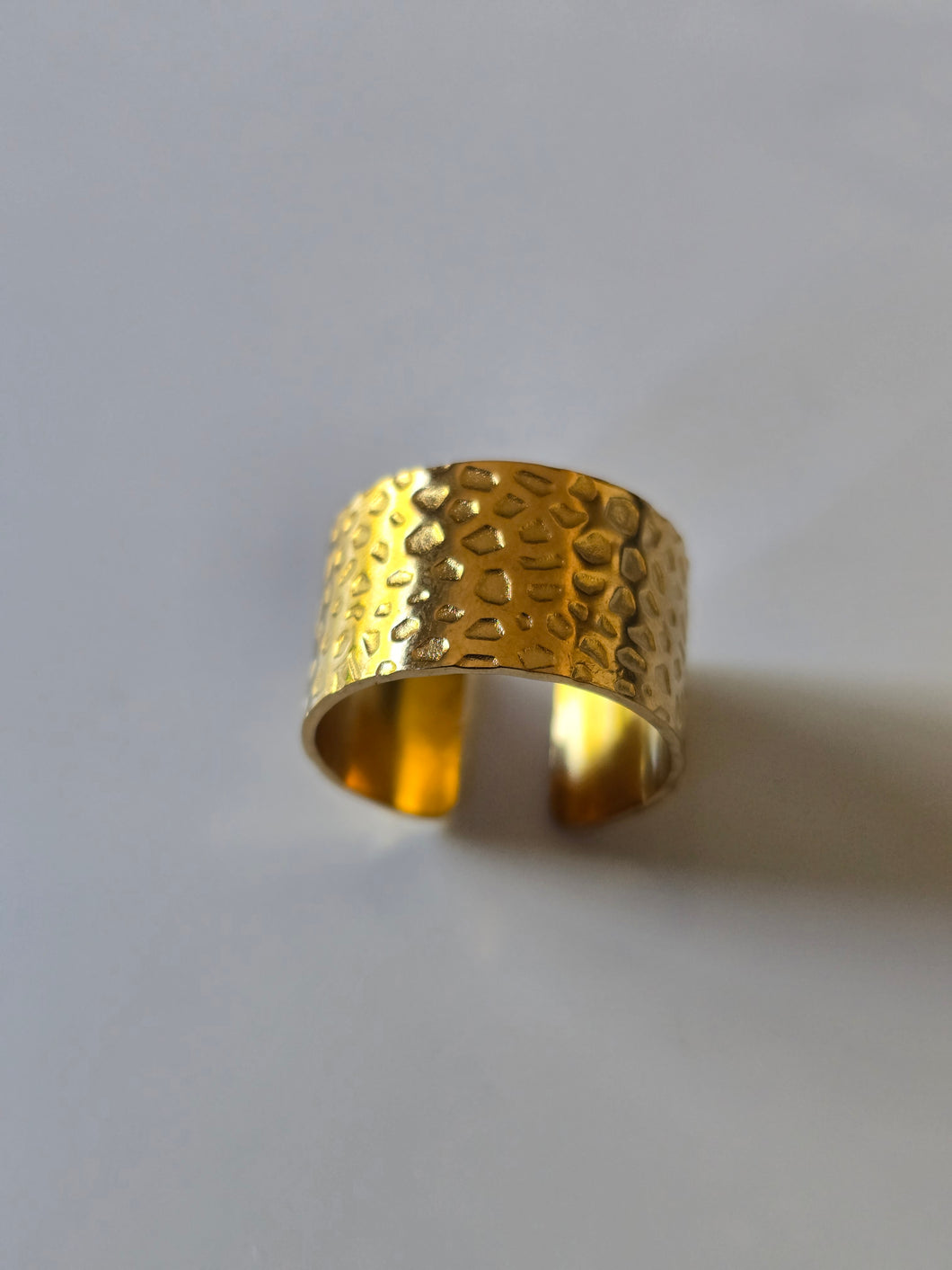 Bague en Acier Inoxydable