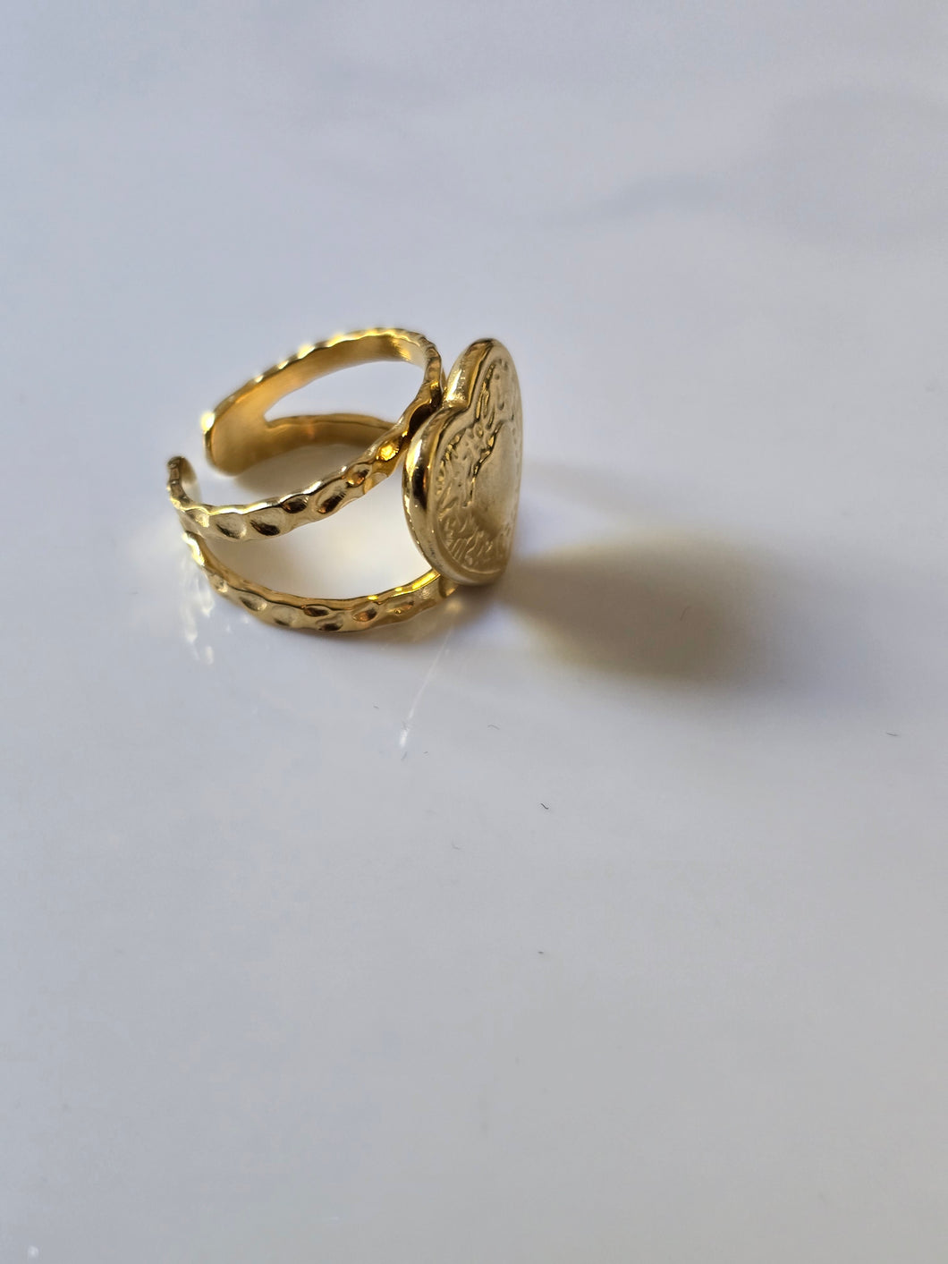 Bague en Acier Inoxydable